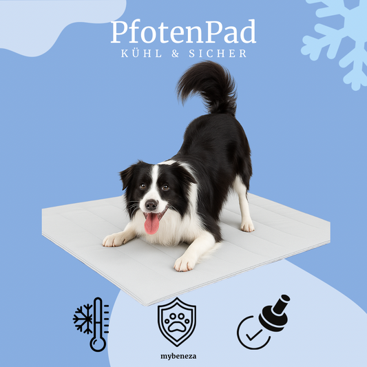 PfotenPad